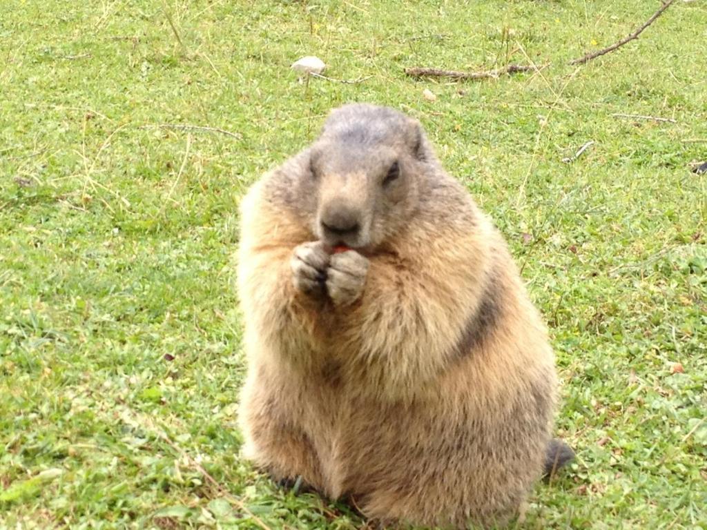 バイタル ウンド ウェルネスホテル ハンネスホフ フィルツモース エクステリア 写真